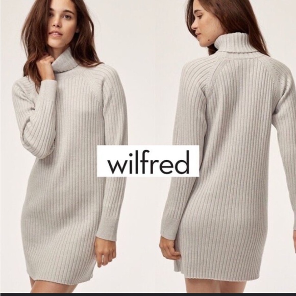 Wilfred Free Aritzia Bianca Dress - Merino Wool Turtleneck Sweater Dress - Picture 13 of 13